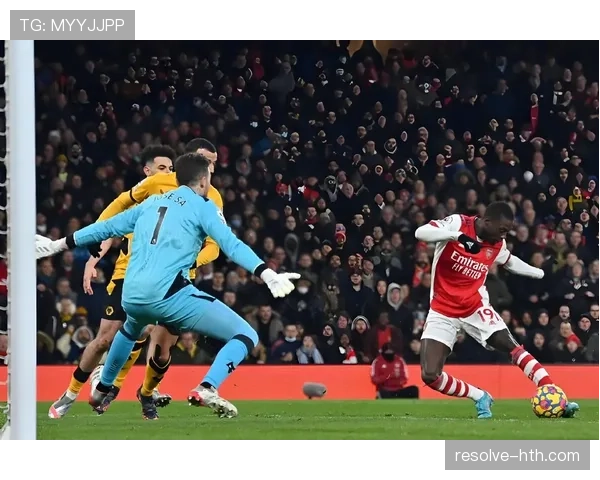 诺维奇剑指英超，备战状态回暖注入新赛季冲级动力